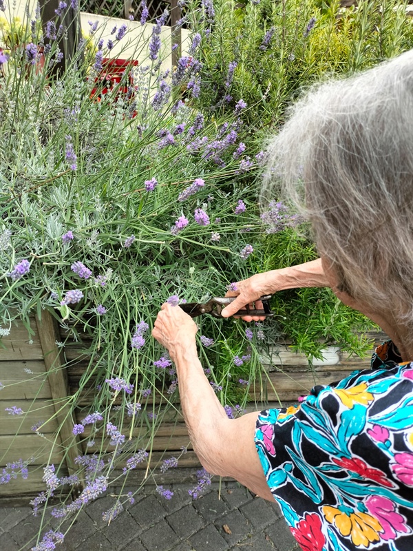 Alzheimer: sono 11 i centri diurni per persone con demenza in Friuli Venezia Giulia per 231 posti