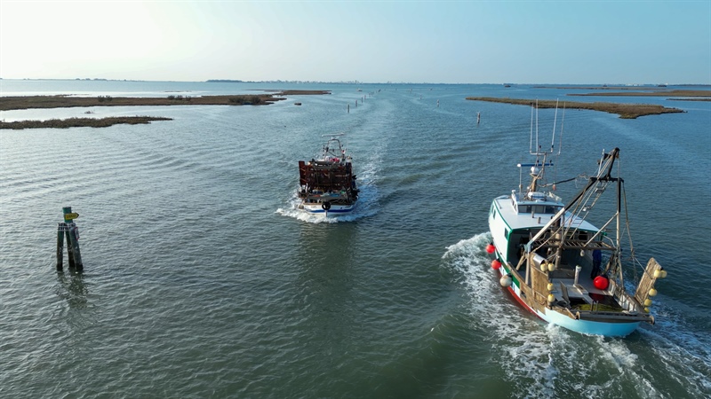 Pesca: sempre più critica la situazione del comparto in FVG