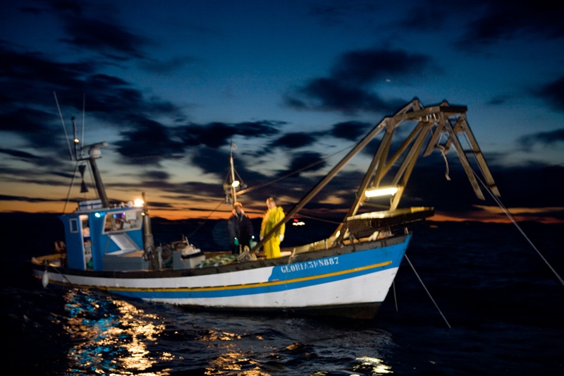 Fasolari sempre più rari: diminuisce dell’80% il pescato